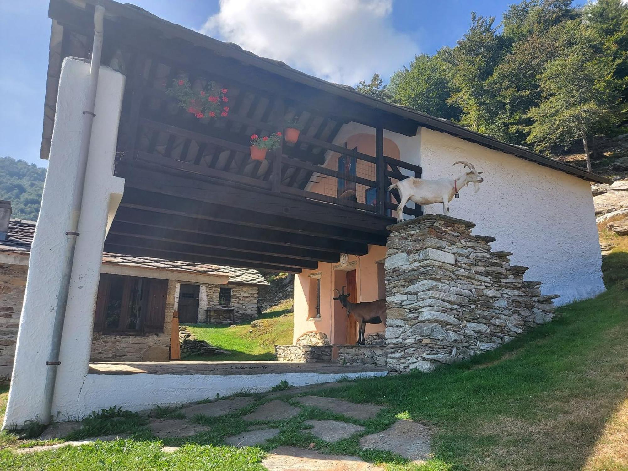 Gran Paradiso Alpette Exterior photo